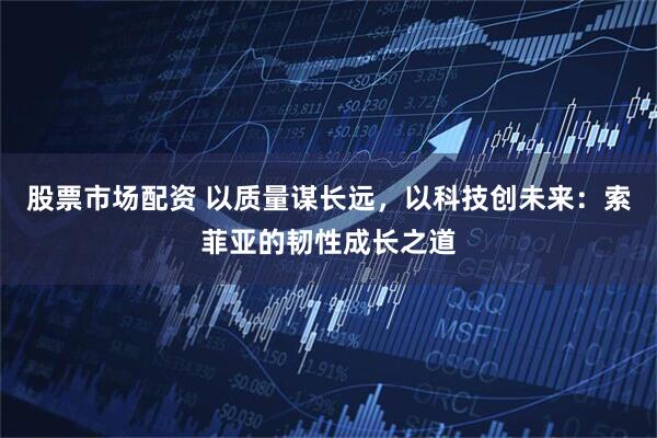 股票市场配资 以质量谋长远，以科技创未来：索菲亚的韧性成长之道