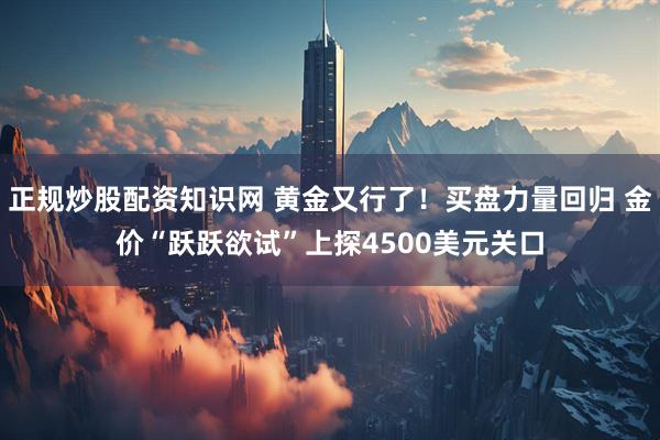 正规炒股配资知识网 黄金又行了！买盘力量回归 金价“跃跃欲试”上探4500美元关口